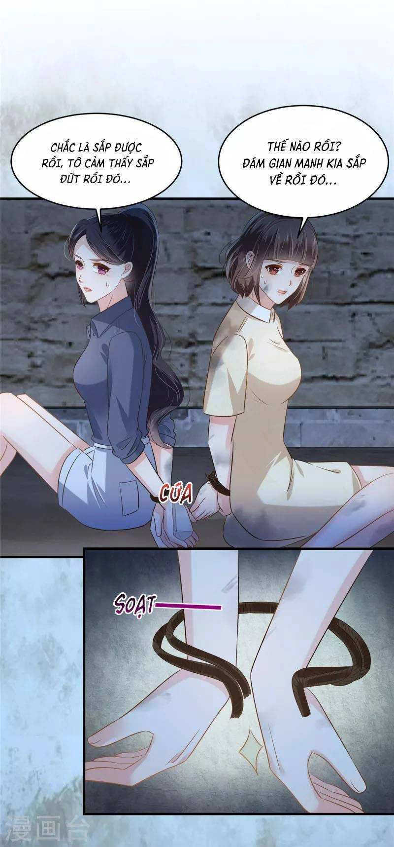 Trọng Sinh Trở Lại: Sủng Nịch Độc Nhất Vô Nhị Chapter 271 - 23