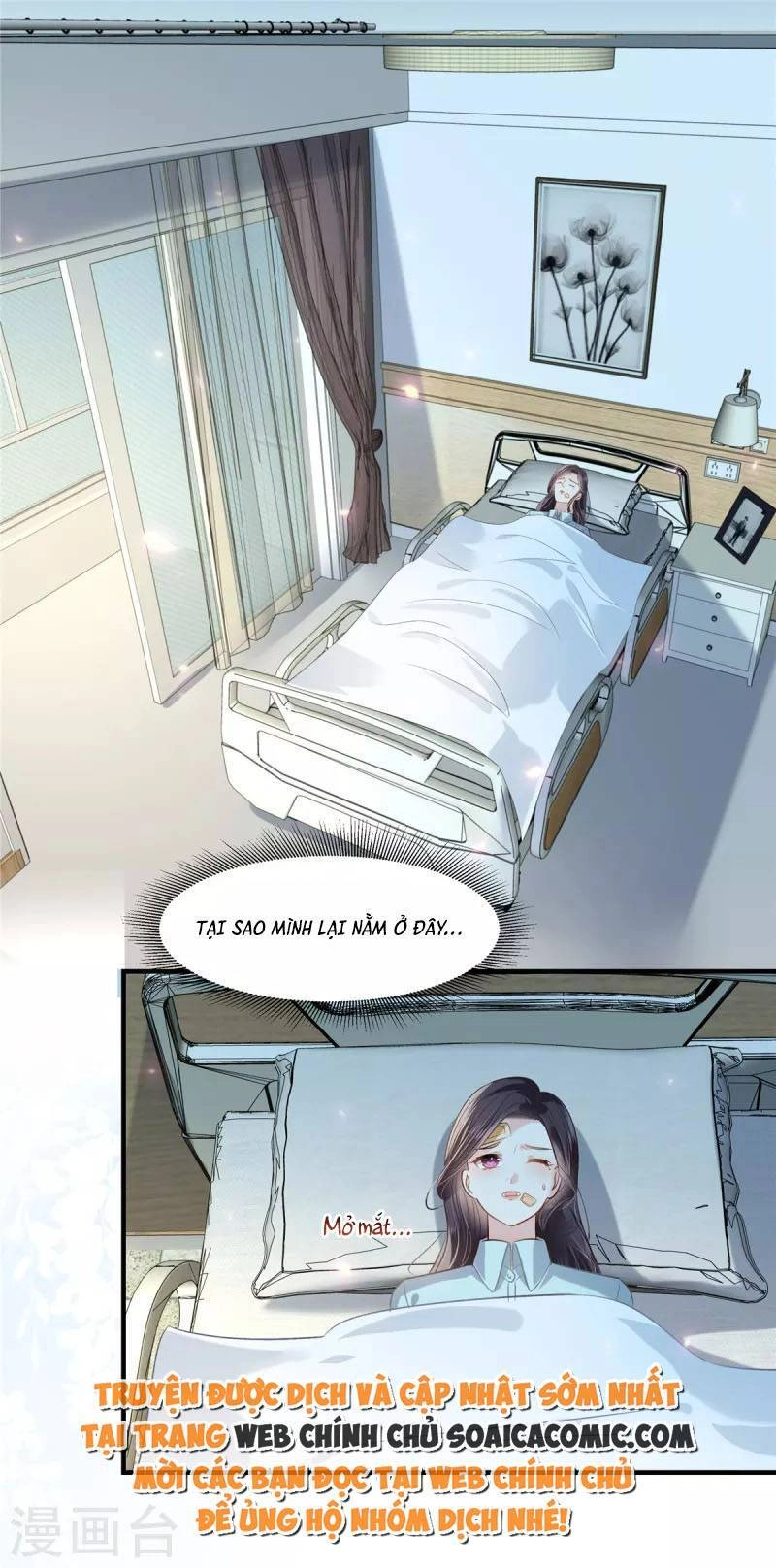 Trọng Sinh Trở Lại: Sủng Nịch Độc Nhất Vô Nhị Chapter 276 - 15