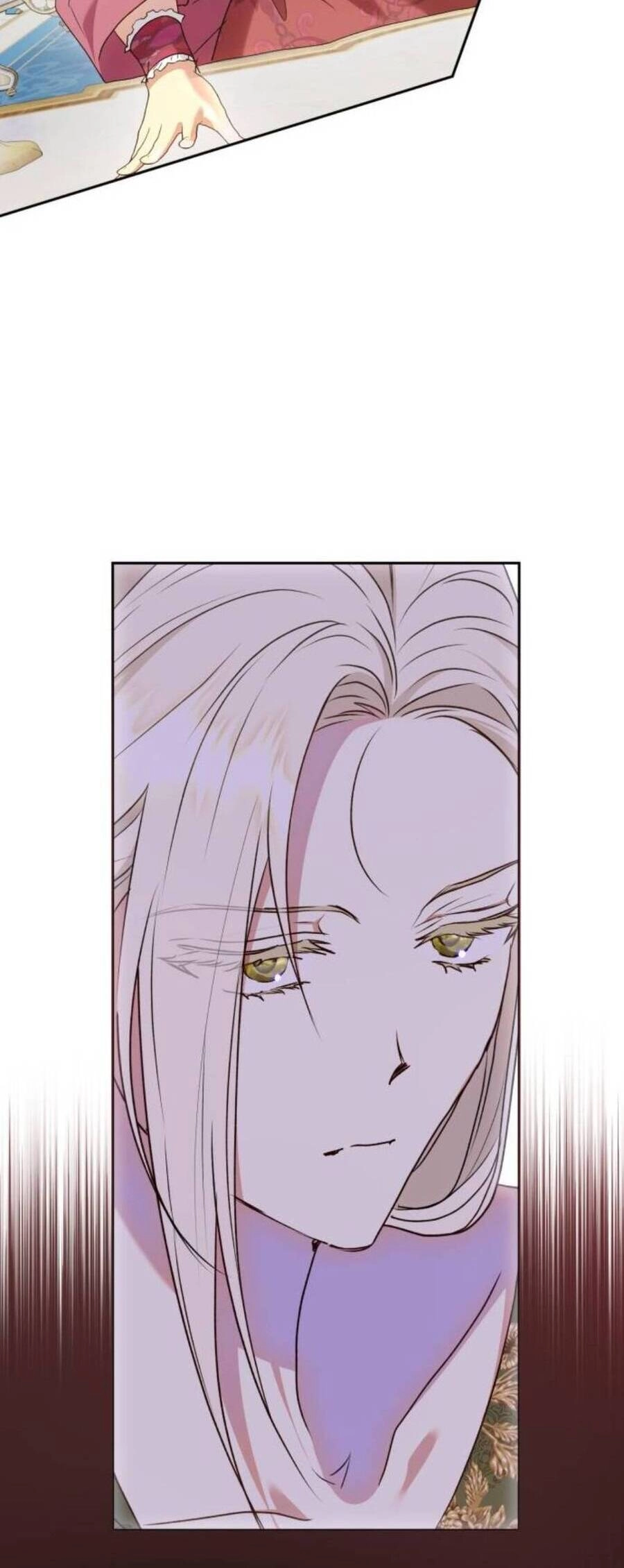 Đại Úy! Chiến Trường Lần Này Là Nơi Này Sao? Chapter 39.2 - 11