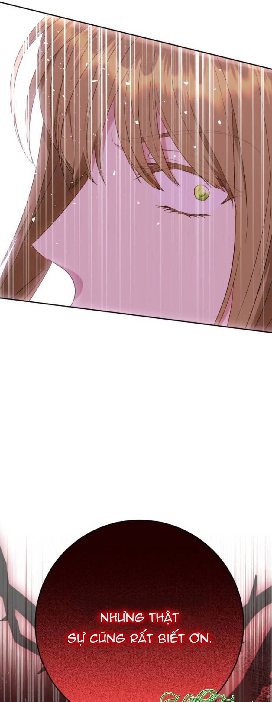 Đại Úy! Chiến Trường Lần Này Là Nơi Này Sao? Chapter 41.1 - 17