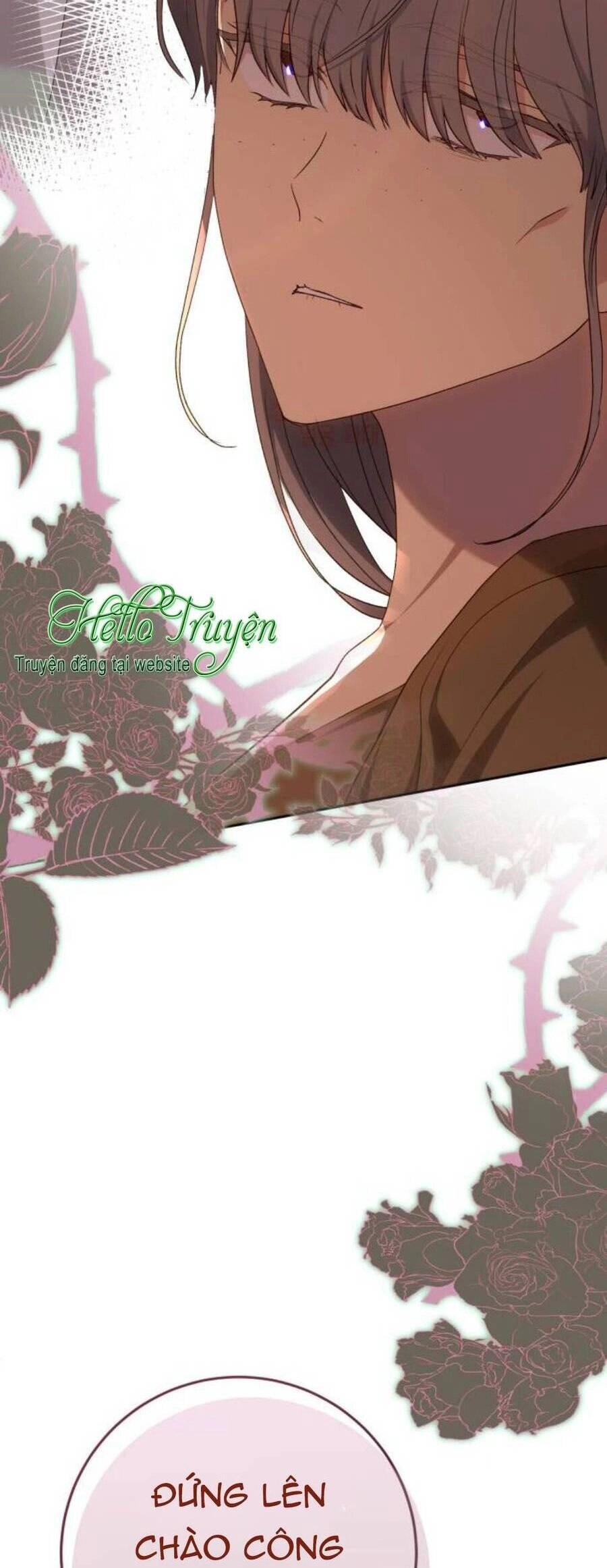 Đại Úy! Chiến Trường Lần Này Là Nơi Này Sao? Chapter 47.2 - 17