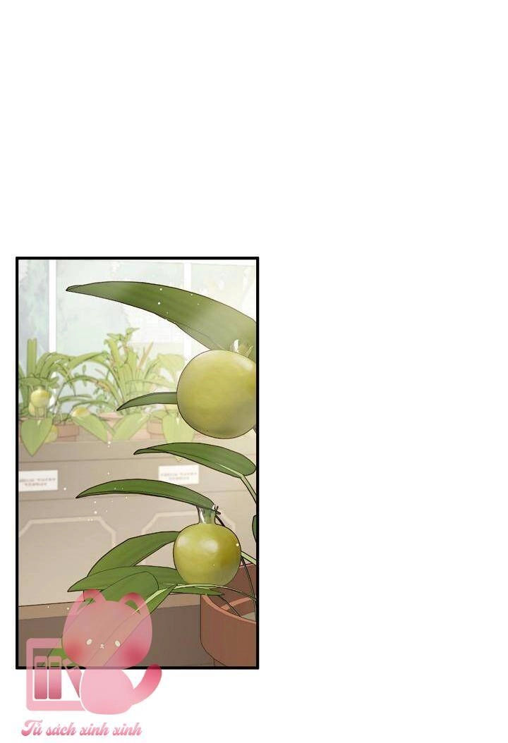 Bác Sĩ Tư Nhân Xin Từ Chức Chapter 19 - 28