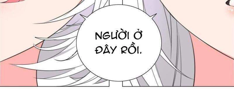 Hậu Cung Quá Nhiều, Tốt Nhất Là Phi Thăng Thôi Chapter 11 - 50