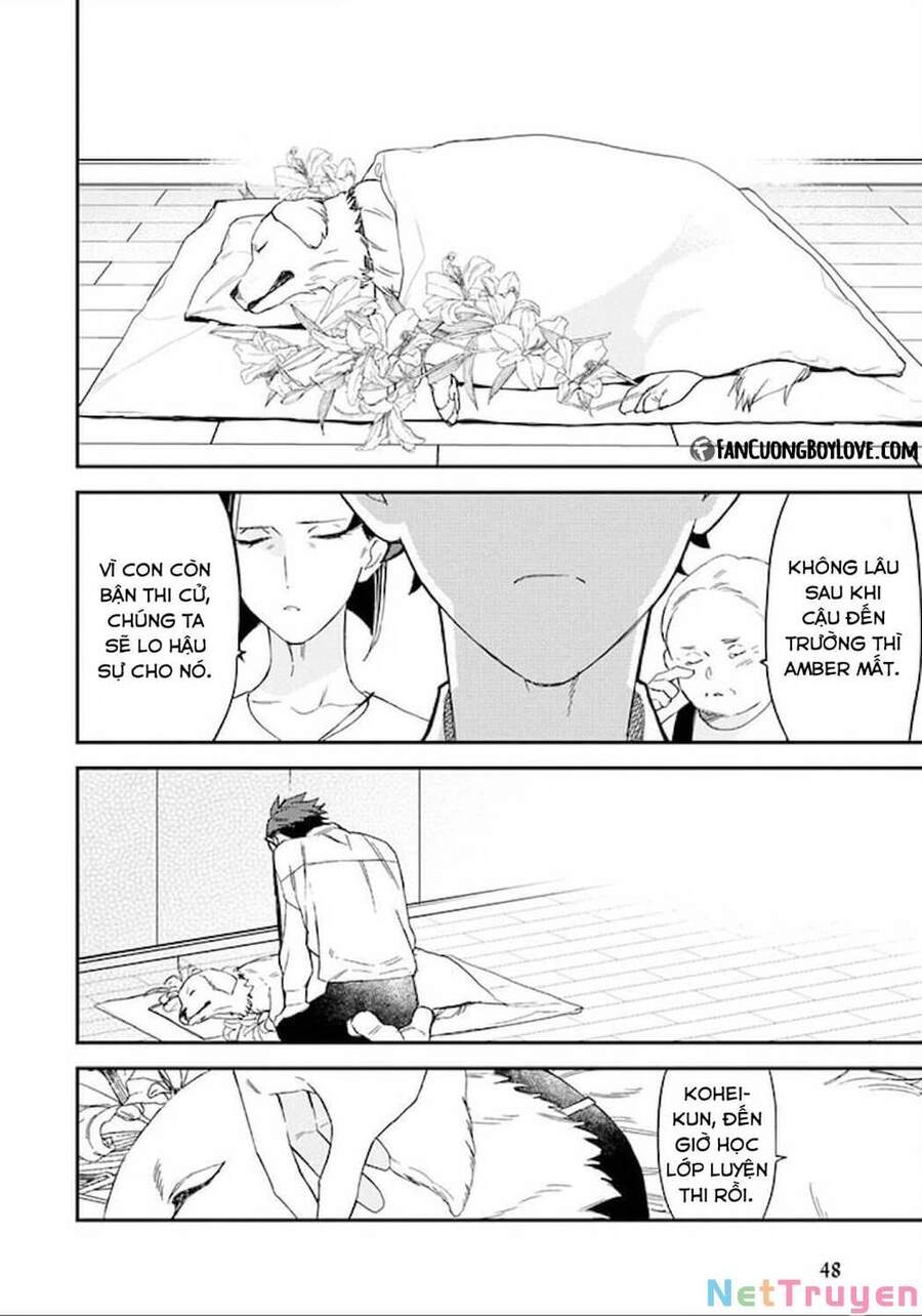 Ngôi Trường Hà Khắc Chapter 25 - 11