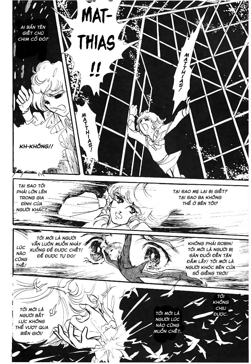 Poe No Ichizoku - Gia Tộc Poe Chapter 15 - 13