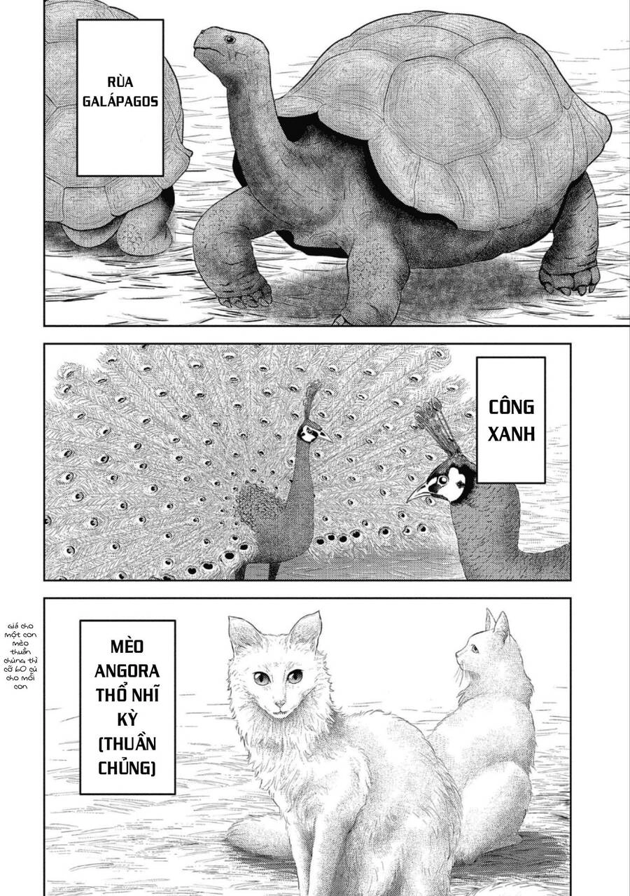 Sengoku Komachi Kurou Tan! Chapter 43 - 30