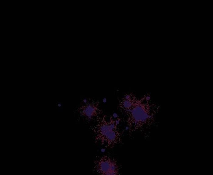 Tỏa Sáng Rực Rỡ Chapter 1.1 - 12