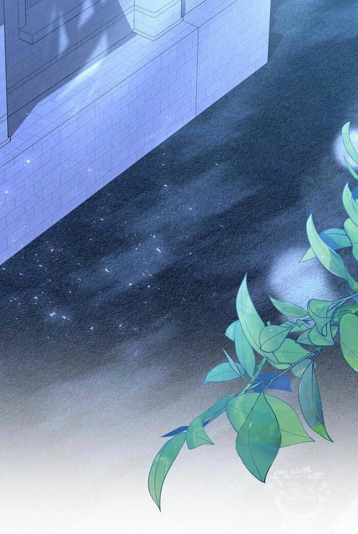 Tỏa Sáng Rực Rỡ Chapter 17.2 - 29