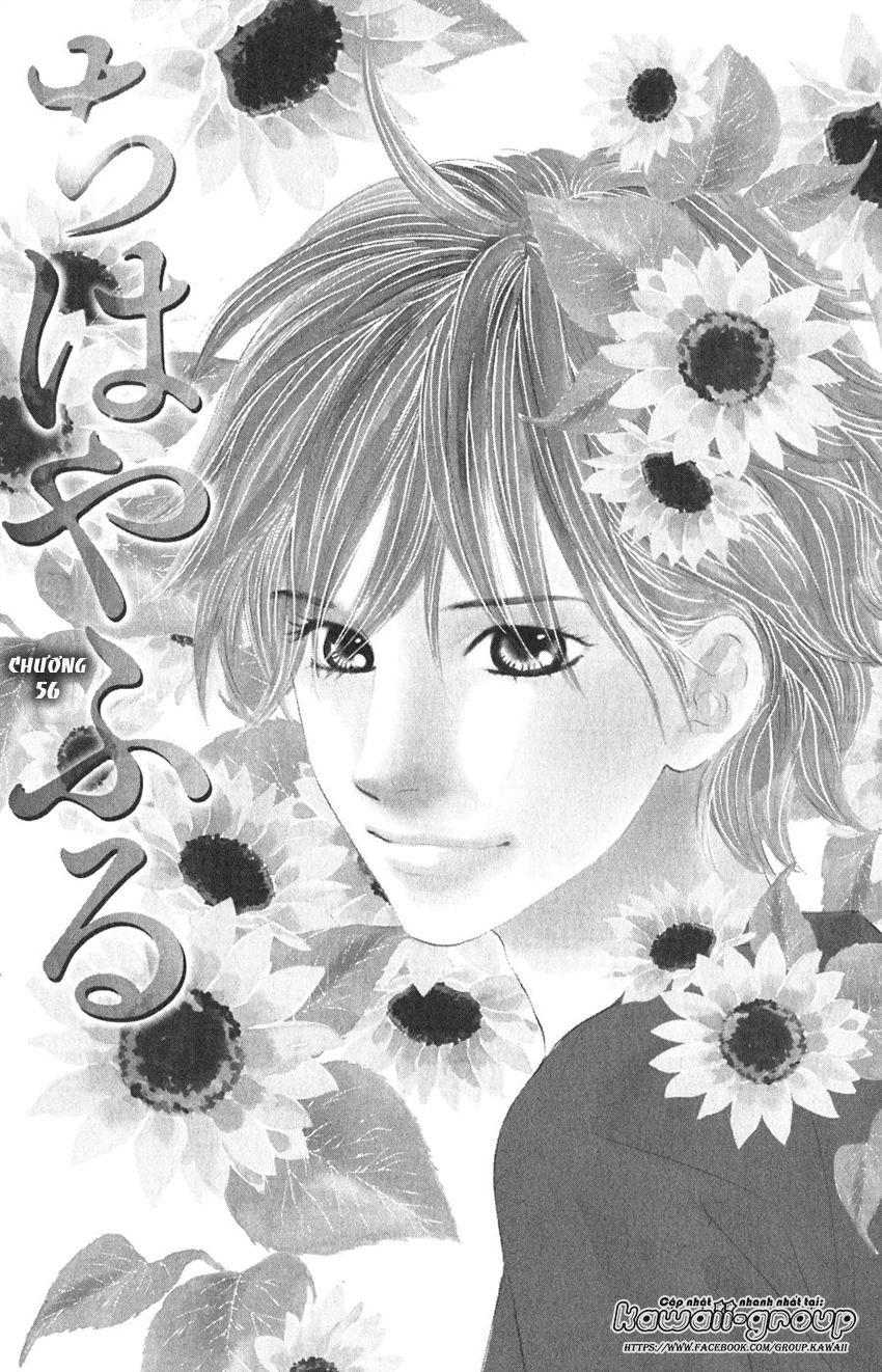 Vẻ Đẹp Qua Những Lá Bài Chapter 56 - 3