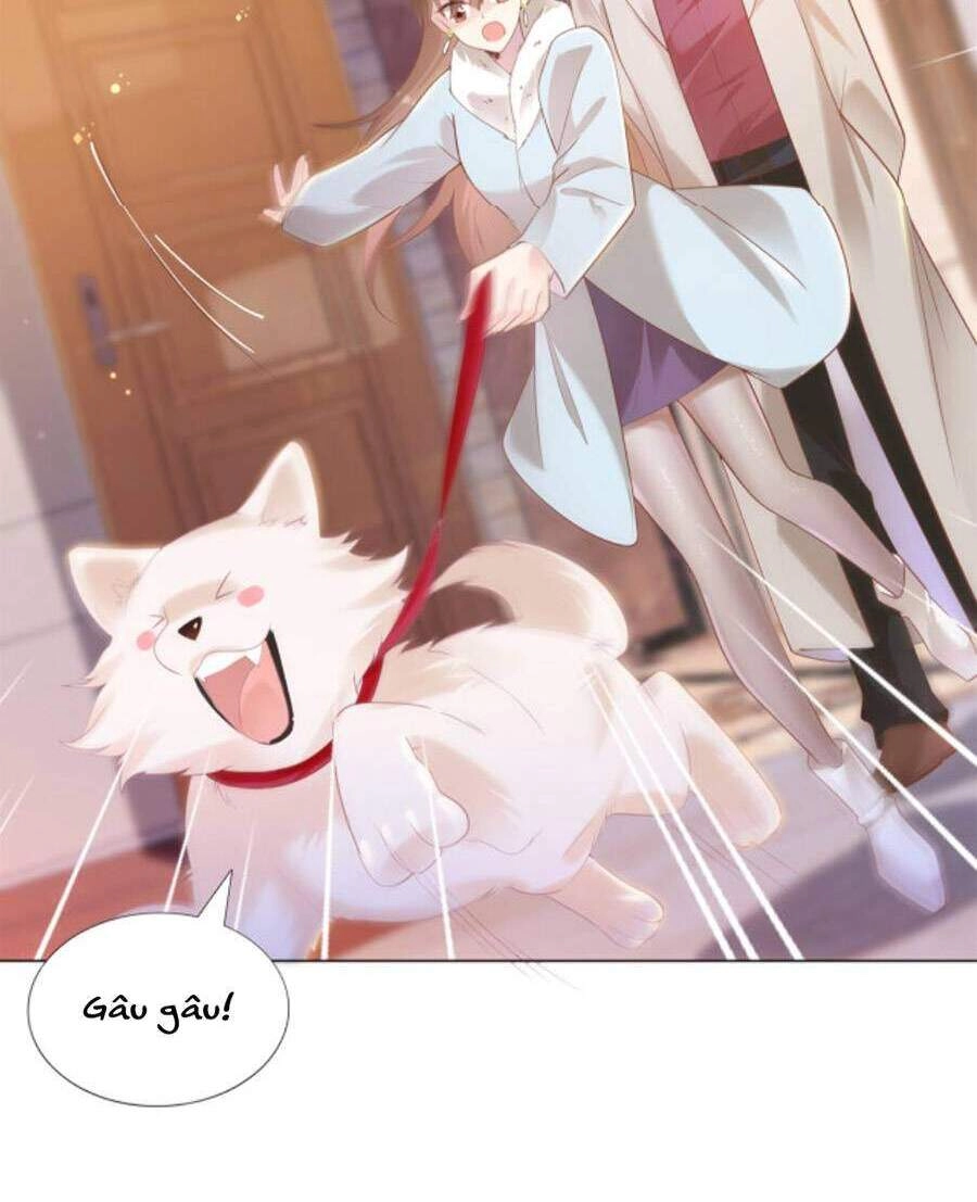 Diêu Diêu Yêu Dấu, Cuối Cùng Sủng Được Em Rồi Chapter 30 - 8