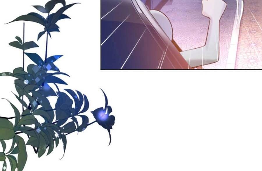 Diêu Diêu Yêu Dấu, Cuối Cùng Sủng Được Em Rồi Chapter 37 - 10