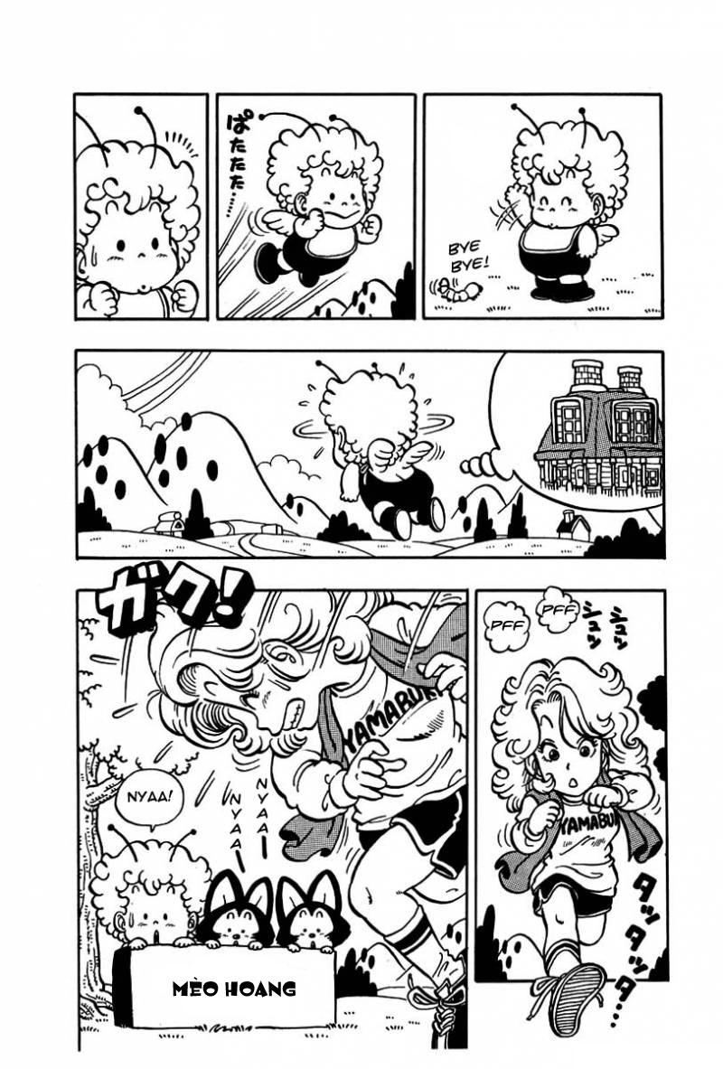 Tiến Sĩ Slump Chapter 43 - 13