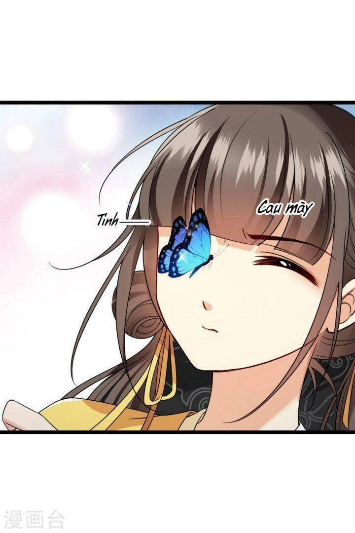 Nụ Cười Của Ngươi Ngọt Đến Mức Làm Gãy Tám Cái Răng Của Ta Chapter 66 - 24