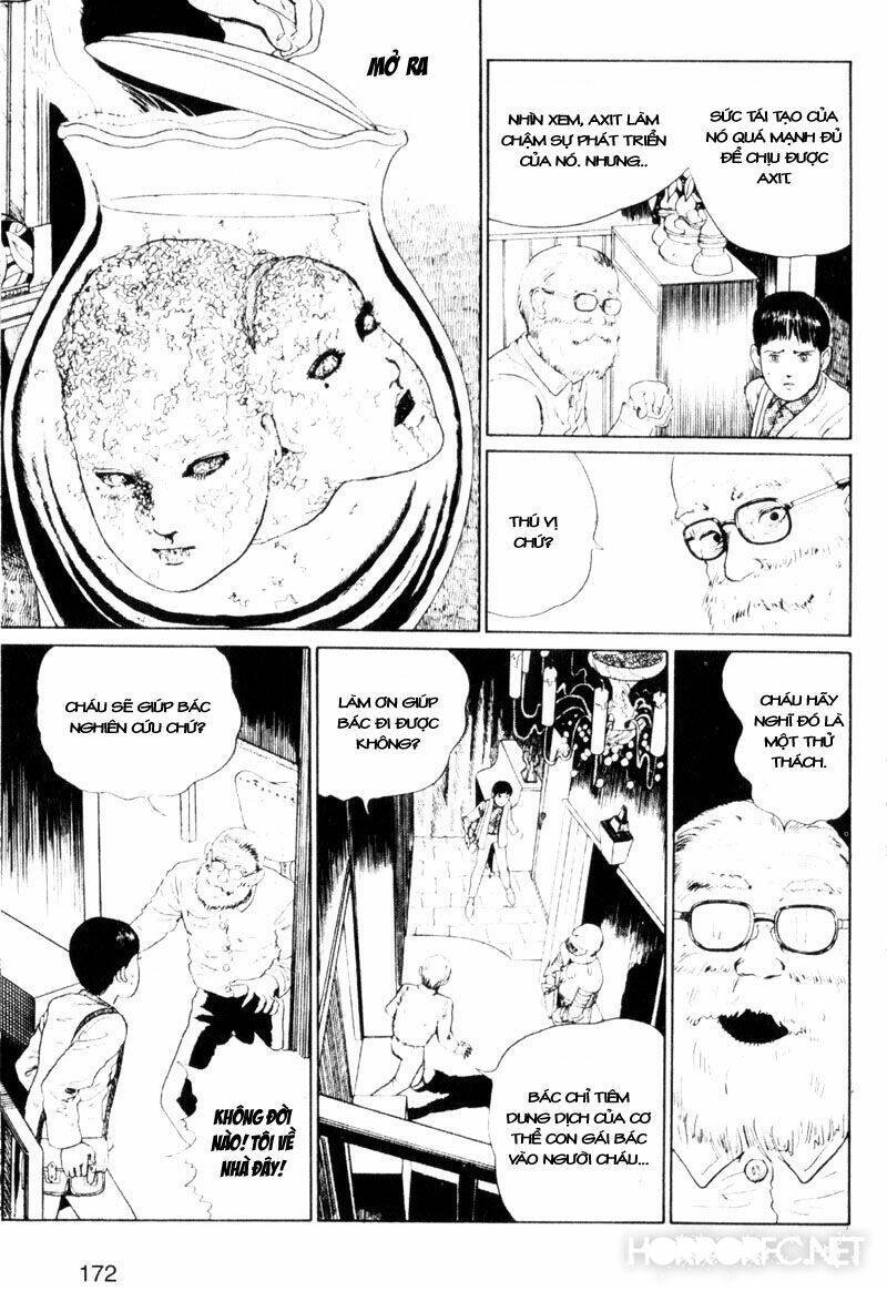 Tuyển Tập Truyện Ngắn Kinh Dị Của Ito Junji Chapter 1.4 - 15