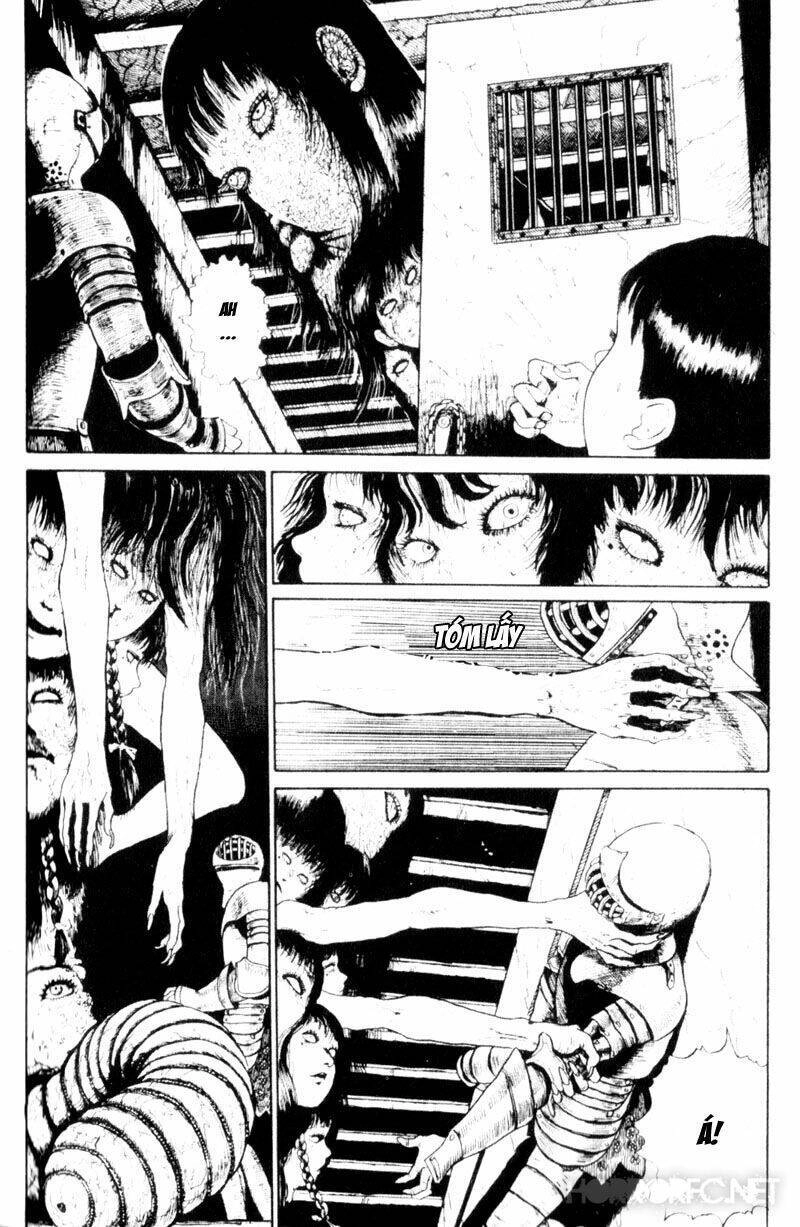 Tuyển Tập Truyện Ngắn Kinh Dị Của Ito Junji Chapter 1.4 - 28