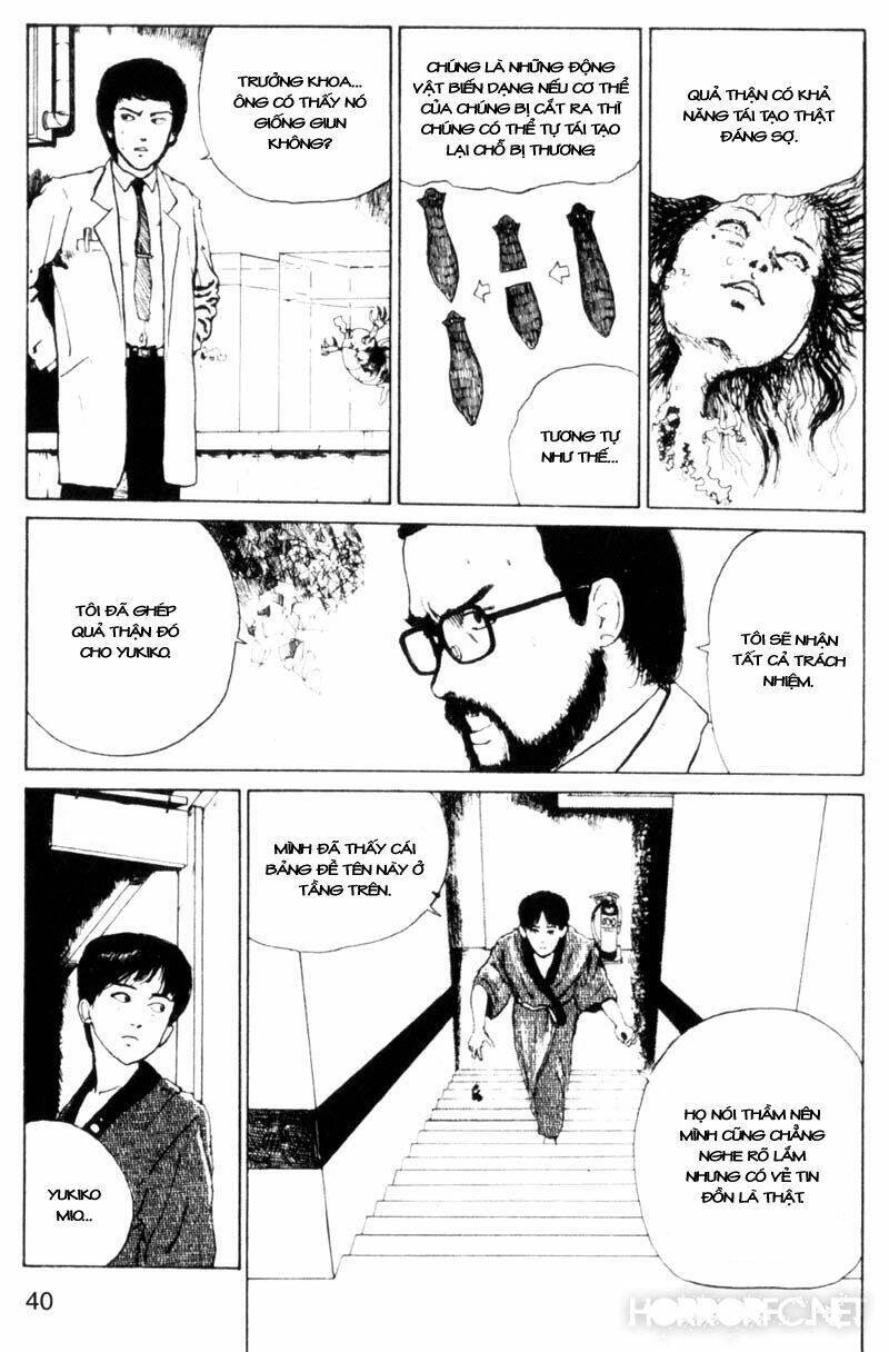 Tuyển Tập Truyện Ngắn Kinh Dị Của Ito Junji Chapter 2.2 - 9