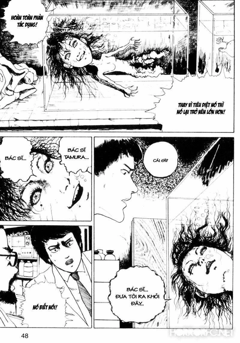 Tuyển Tập Truyện Ngắn Kinh Dị Của Ito Junji Chapter 2.2 - 17