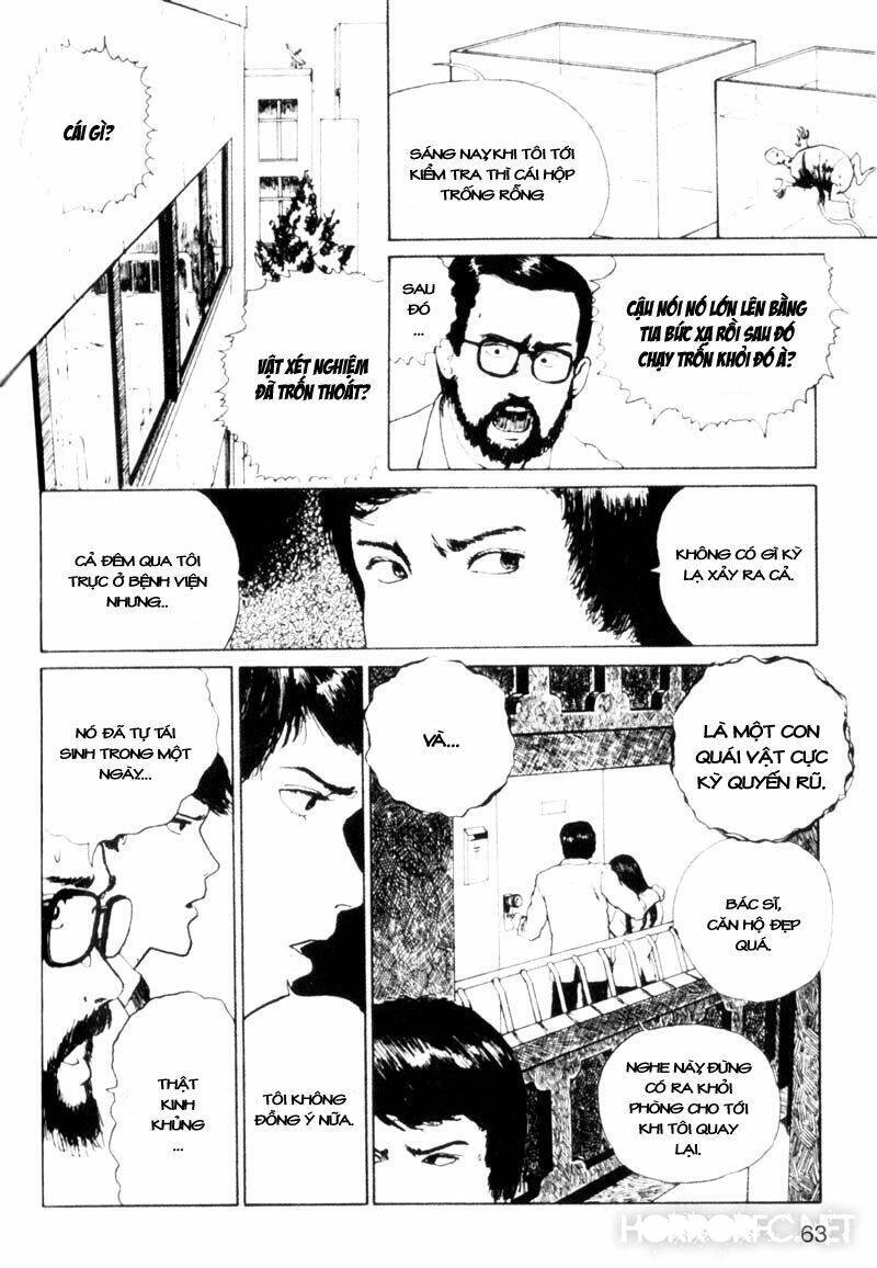 Tuyển Tập Truyện Ngắn Kinh Dị Của Ito Junji Chapter 2.2 - 32