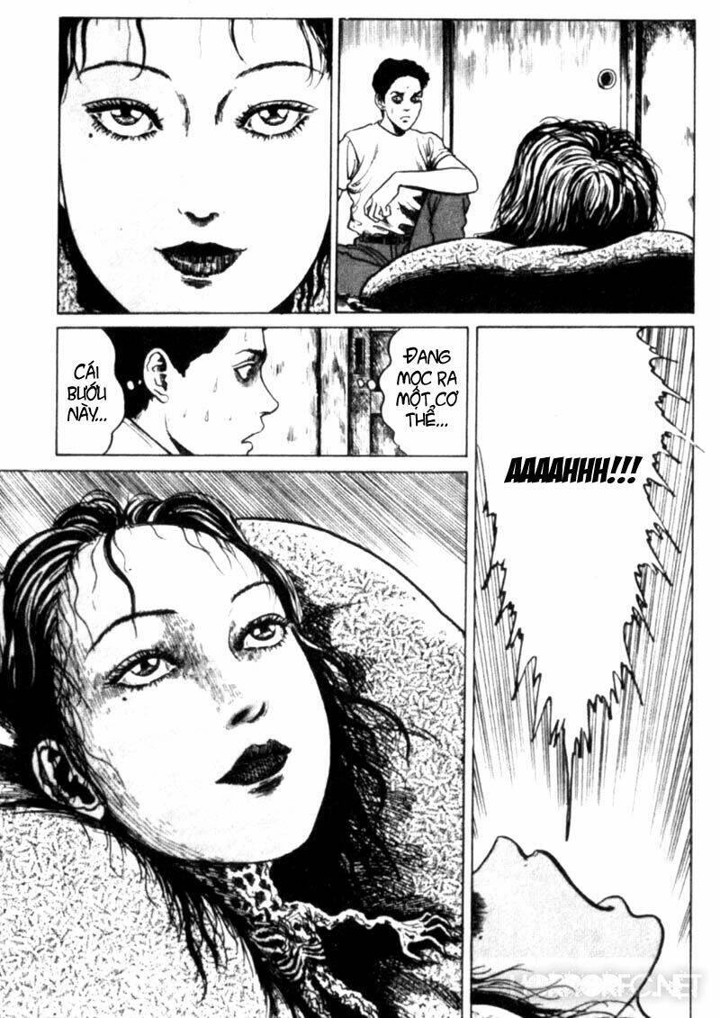 Tuyển Tập Truyện Ngắn Kinh Dị Của Ito Junji Chapter 2.4 - 21