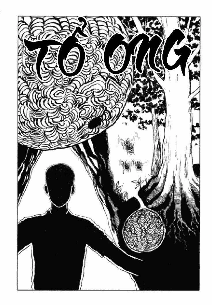 Tuyển Tập Truyện Ngắn Kinh Dị Của Ito Junji Chapter 3.3 - 1