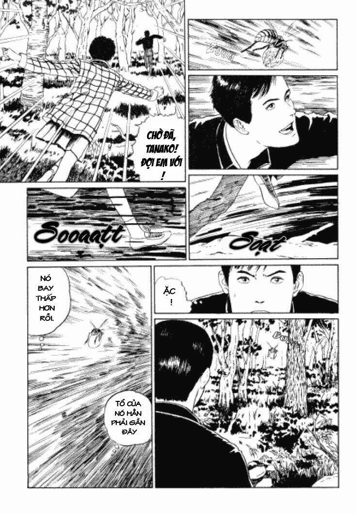Tuyển Tập Truyện Ngắn Kinh Dị Của Ito Junji Chapter 3.3 - 5