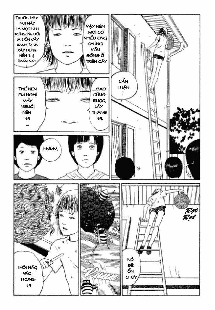 Tuyển Tập Truyện Ngắn Kinh Dị Của Ito Junji Chapter 3.3 - 12