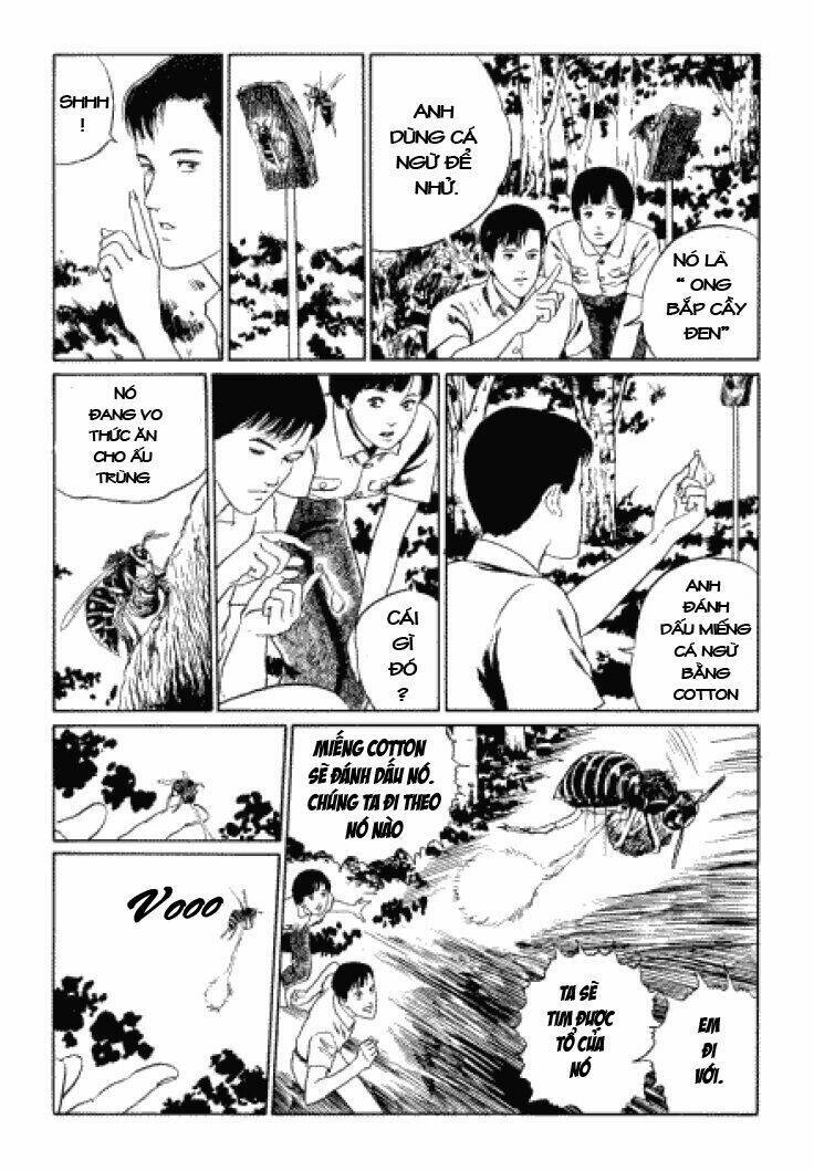 Tuyển Tập Truyện Ngắn Kinh Dị Của Ito Junji Chapter 3.3 - 18