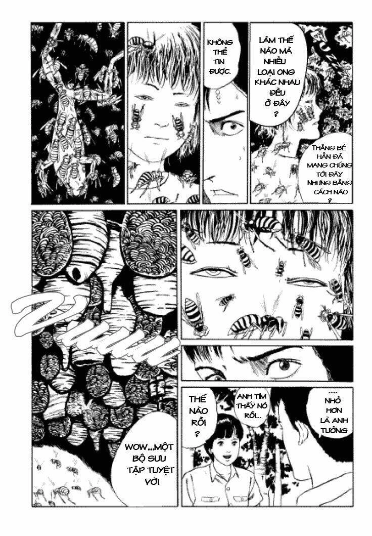 Tuyển Tập Truyện Ngắn Kinh Dị Của Ito Junji Chapter 3.3 - 22