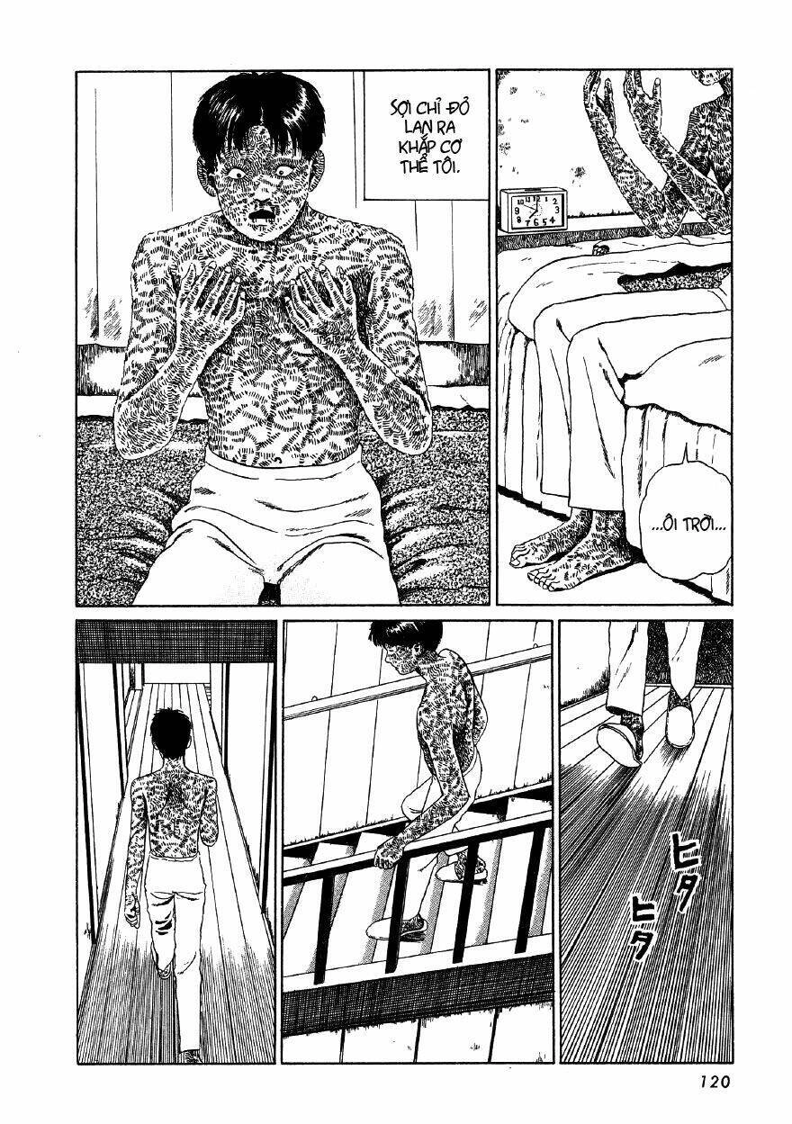 Tuyển Tập Truyện Ngắn Kinh Dị Của Ito Junji Chapter 4.4 - 24