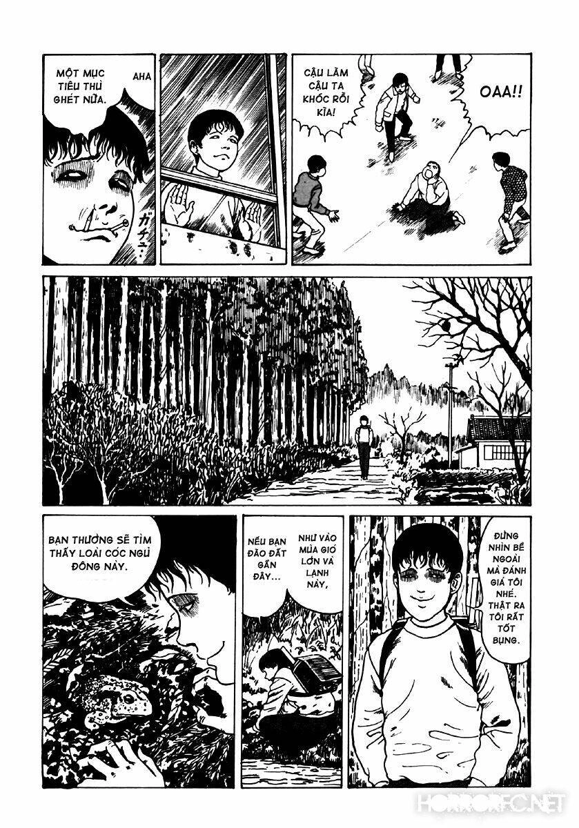 Tuyển Tập Truyện Ngắn Kinh Dị Của Ito Junji Chapter 6.1 - 13