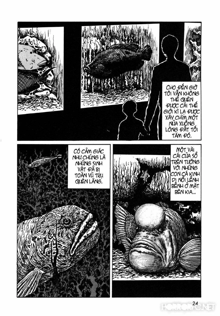 Tuyển Tập Truyện Ngắn Kinh Dị Của Ito Junji Chapter 7.2 - 6