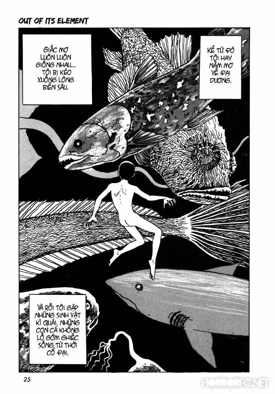 Tuyển Tập Truyện Ngắn Kinh Dị Của Ito Junji Chapter 7.2 - 7