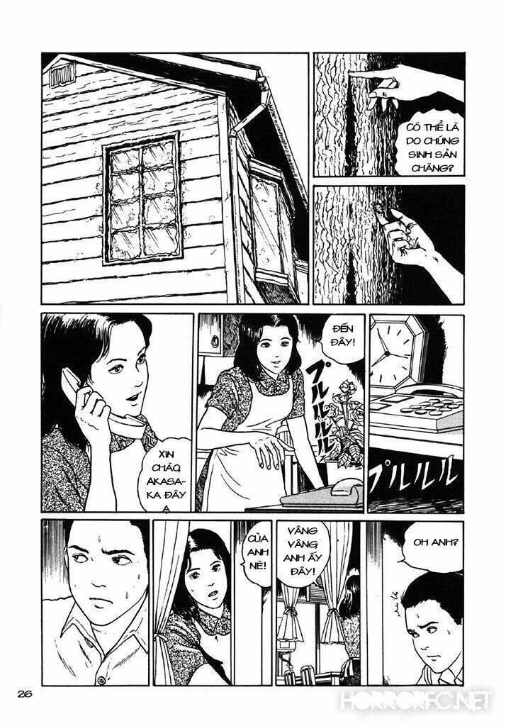 Tuyển Tập Truyện Ngắn Kinh Dị Của Ito Junji Chapter 7.3 - 27