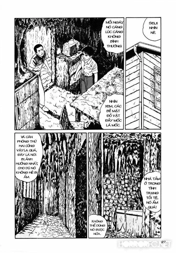 Tuyển Tập Truyện Ngắn Kinh Dị Của Ito Junji Chapter 7.3 - 28
