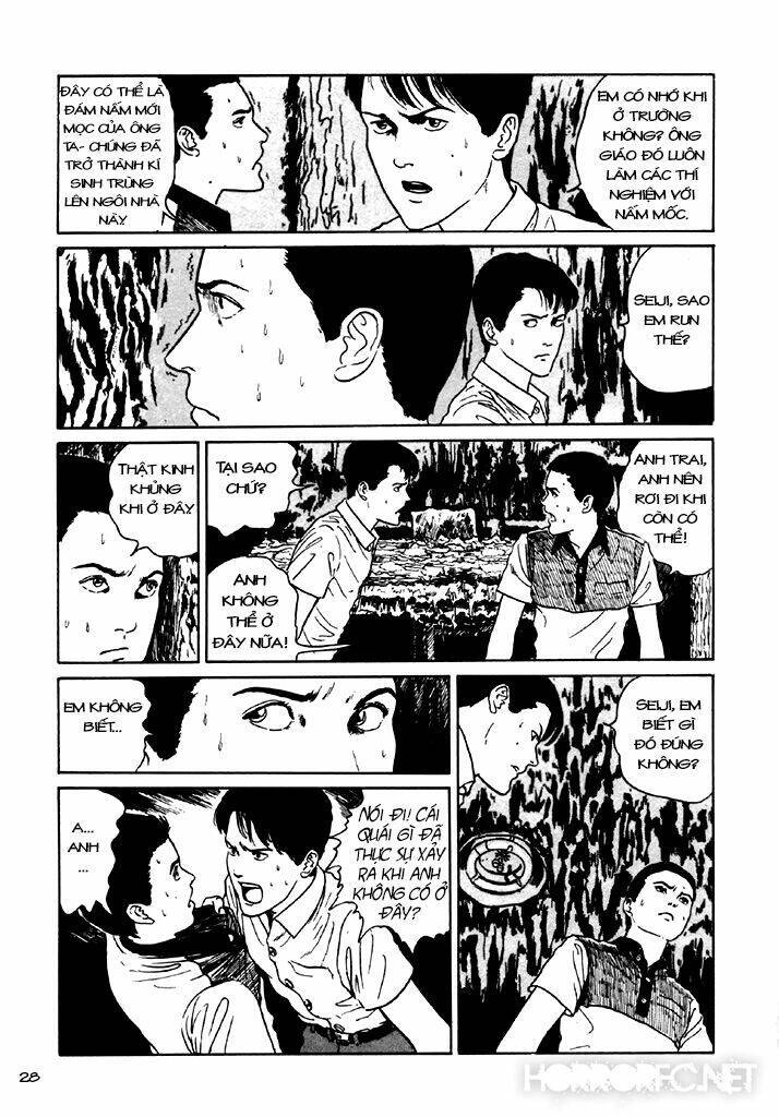 Tuyển Tập Truyện Ngắn Kinh Dị Của Ito Junji Chapter 7.3 - 29