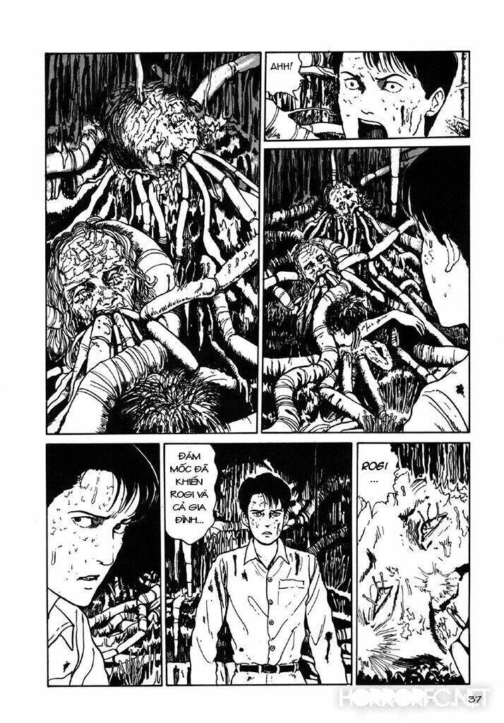 Tuyển Tập Truyện Ngắn Kinh Dị Của Ito Junji Chapter 7.3 - 38