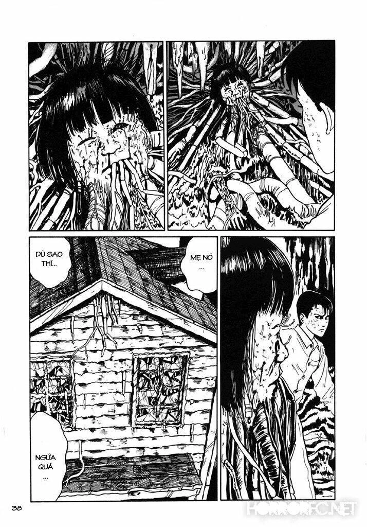 Tuyển Tập Truyện Ngắn Kinh Dị Của Ito Junji Chapter 7.3 - 39