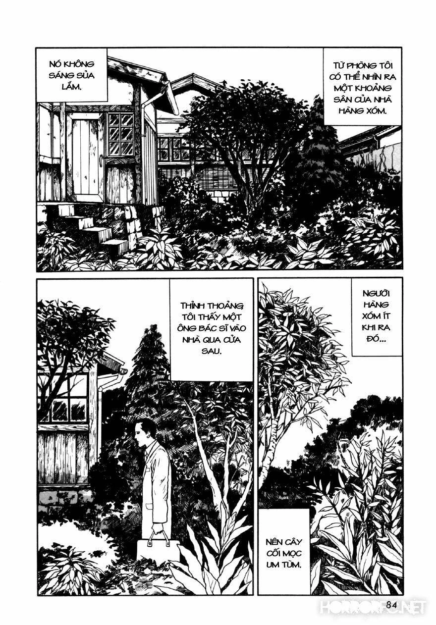Tuyển Tập Truyện Ngắn Kinh Dị Của Ito Junji Chapter 7.4 - 2
