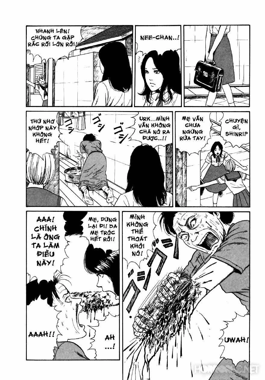 Tuyển Tập Truyện Ngắn Kinh Dị Của Ito Junji Chapter 7.6 - 44