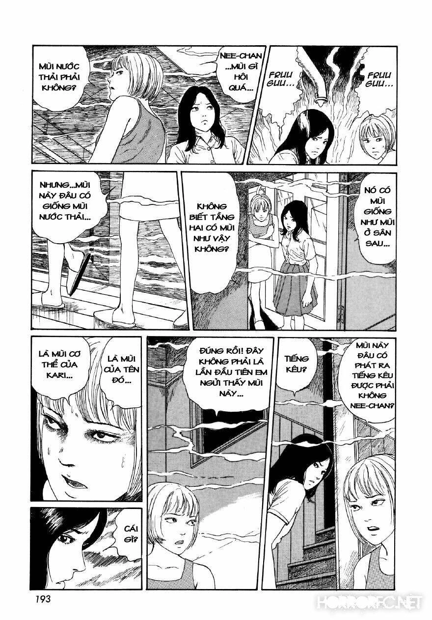 Tuyển Tập Truyện Ngắn Kinh Dị Của Ito Junji Chapter 7.6 - 47