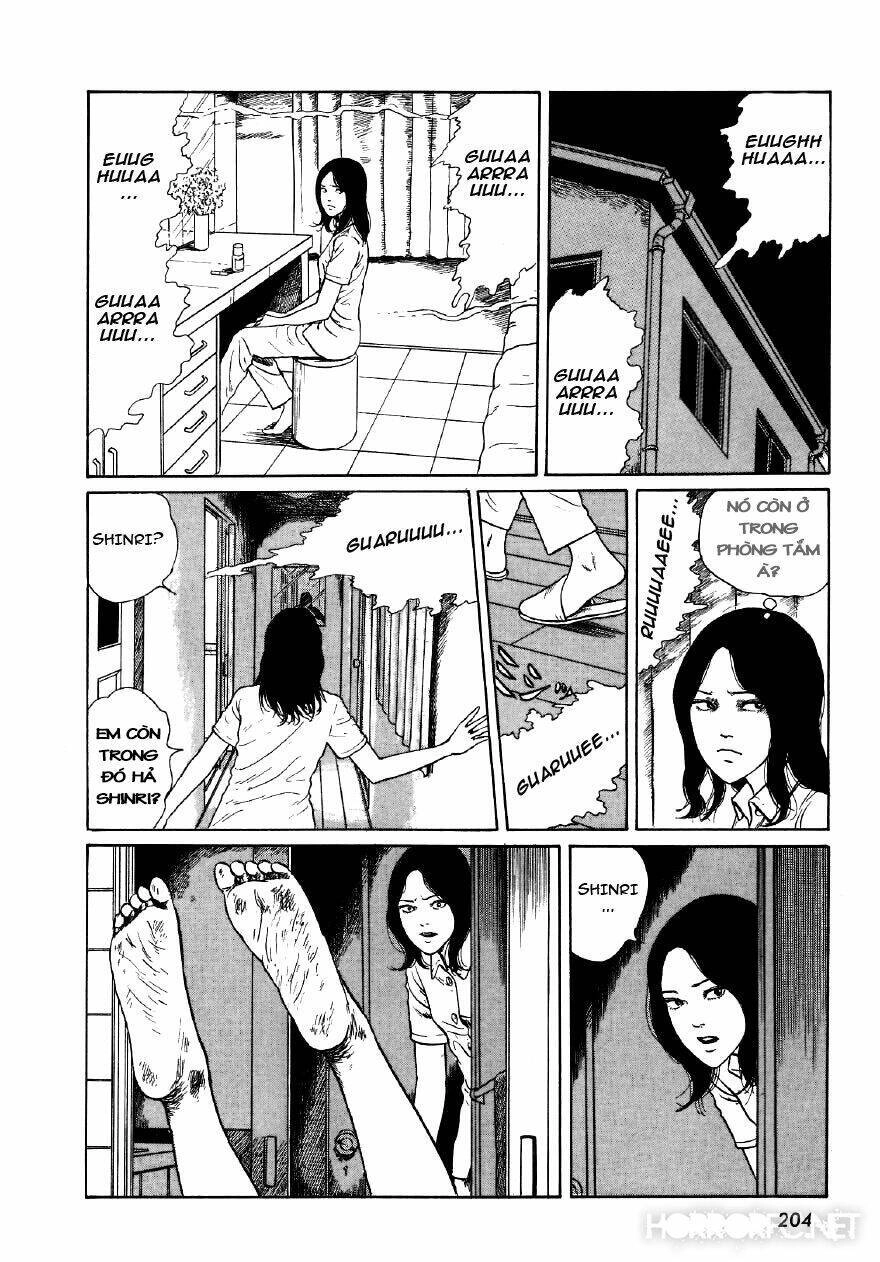 Tuyển Tập Truyện Ngắn Kinh Dị Của Ito Junji Chapter 7.6 - 58