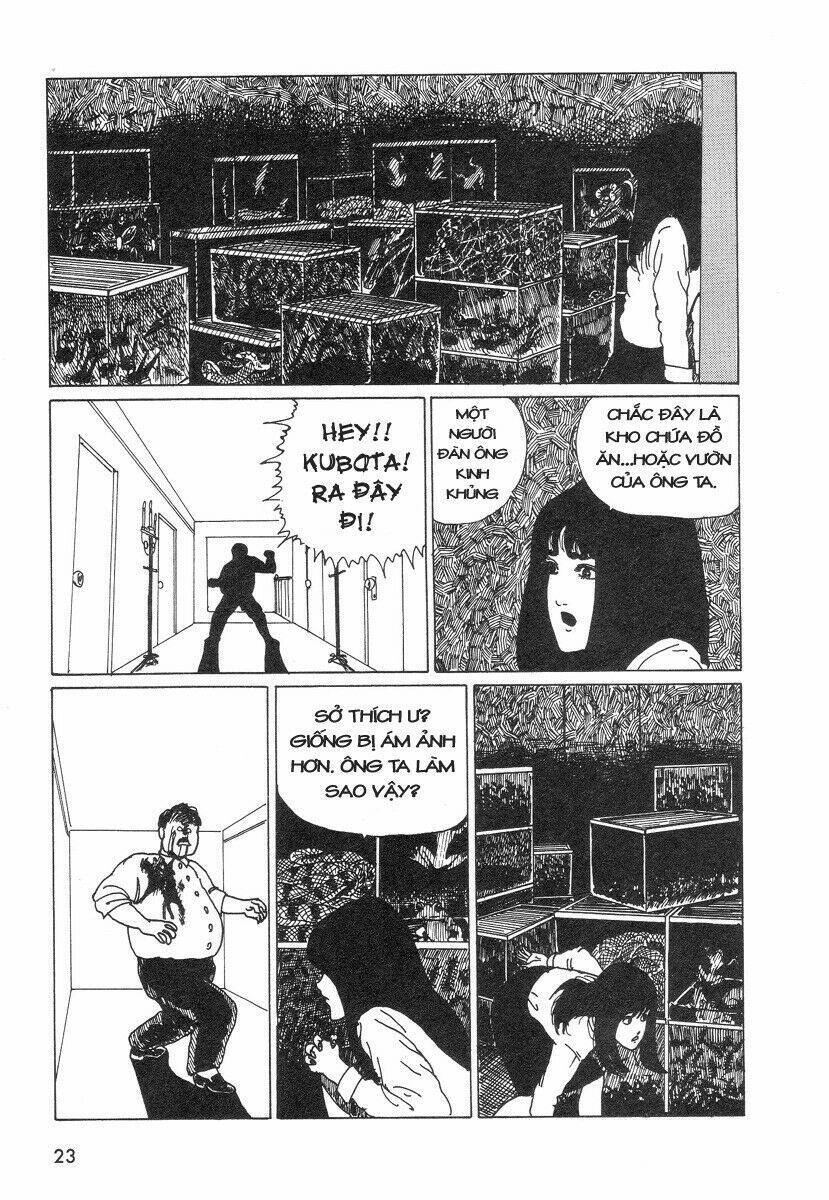 Tuyển Tập Truyện Ngắn Kinh Dị Của Ito Junji Chapter 7.7 - 17