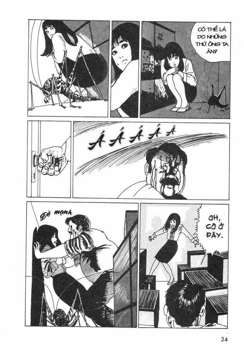 Tuyển Tập Truyện Ngắn Kinh Dị Của Ito Junji Chapter 7.7 - 18