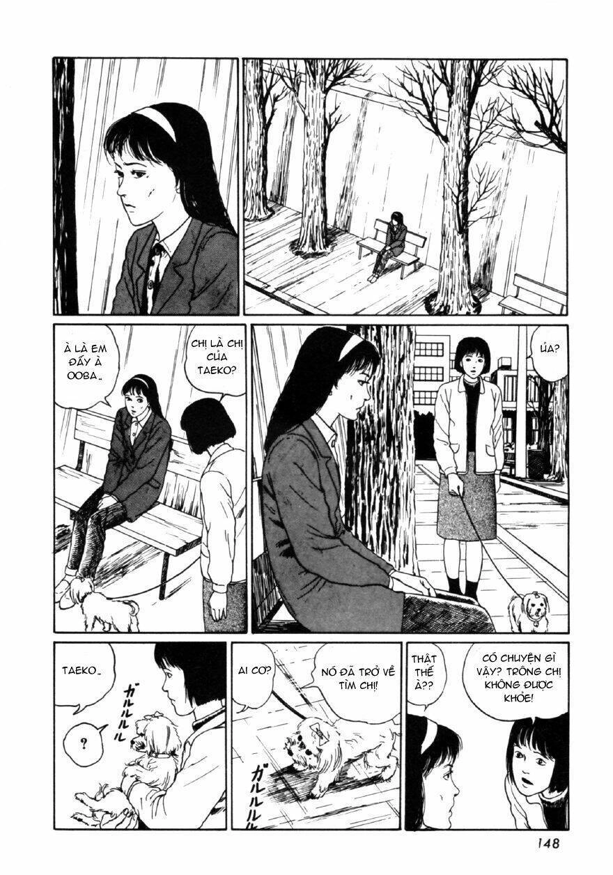 Tuyển Tập Truyện Ngắn Kinh Dị Của Ito Junji Chapter 8.4 - 24