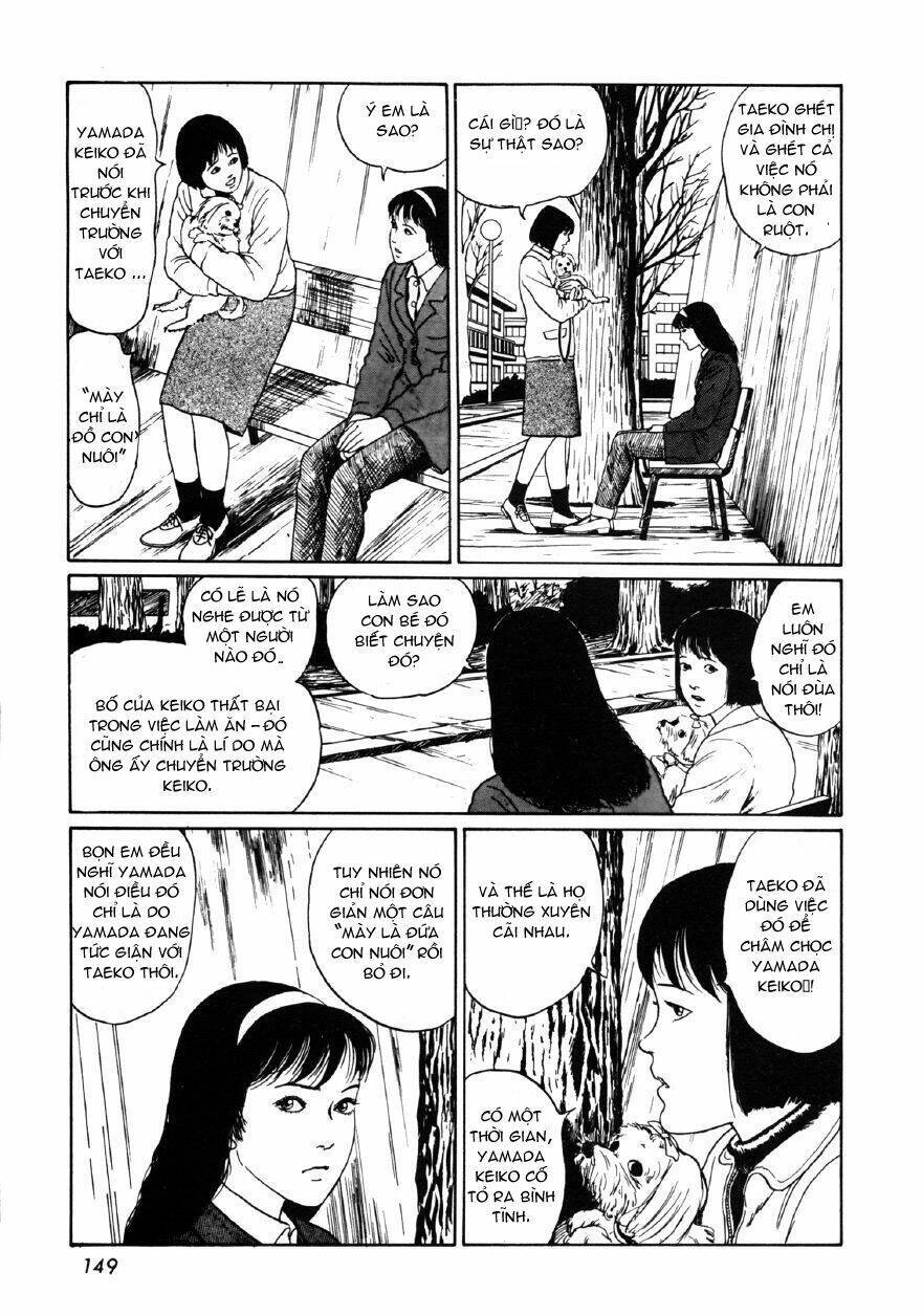 Tuyển Tập Truyện Ngắn Kinh Dị Của Ito Junji Chapter 8.4 - 25