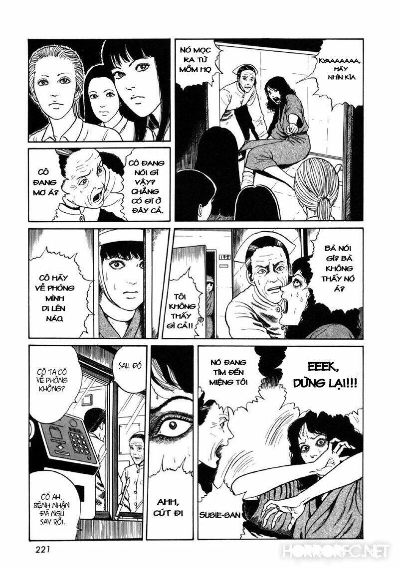 Tuyển Tập Truyện Ngắn Kinh Dị Của Ito Junji Chapter 8.7 - 23