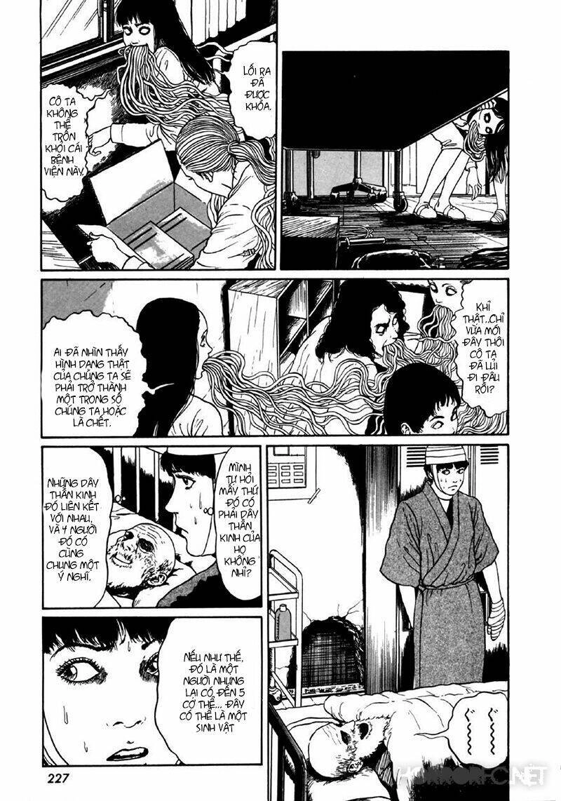 Tuyển Tập Truyện Ngắn Kinh Dị Của Ito Junji Chapter 8.7 - 29