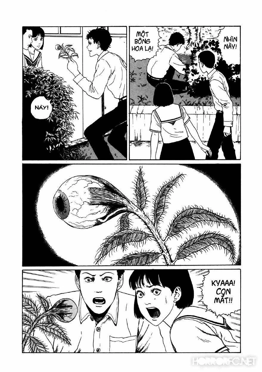 Tuyển Tập Truyện Ngắn Kinh Dị Của Ito Junji Chapter 11.5 - 12