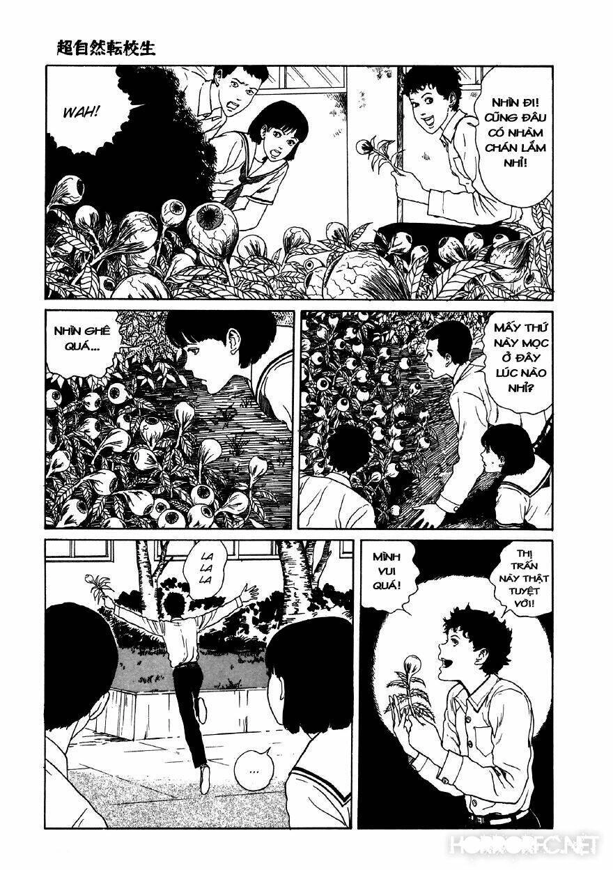 Tuyển Tập Truyện Ngắn Kinh Dị Của Ito Junji Chapter 11.5 - 13
