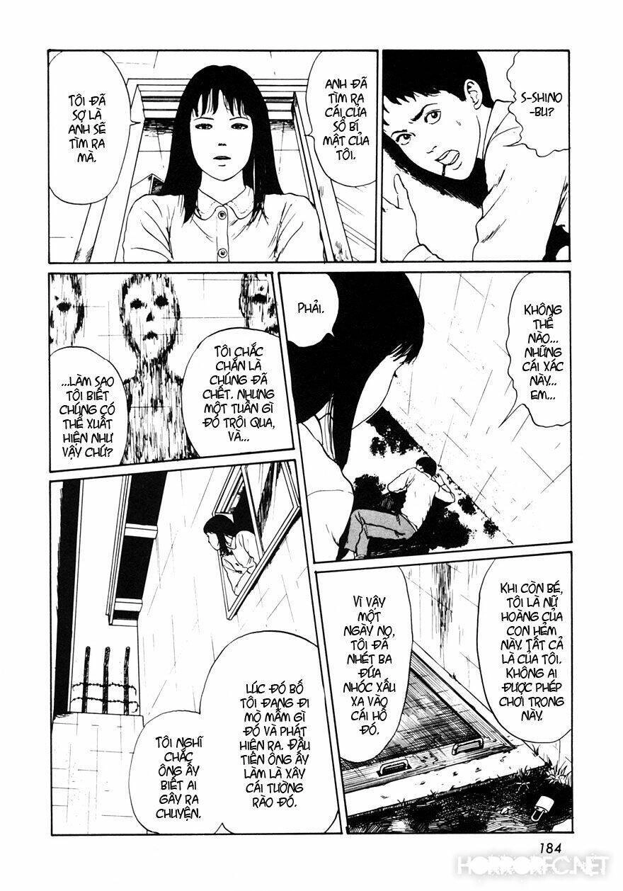 Tuyển Tập Truyện Ngắn Kinh Dị Của Ito Junji Chapter 12.5 - 29